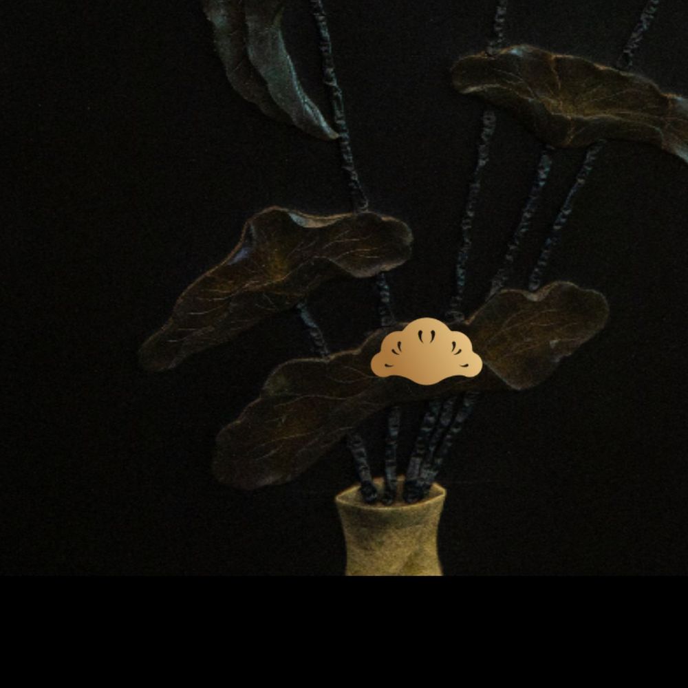 晚开的花